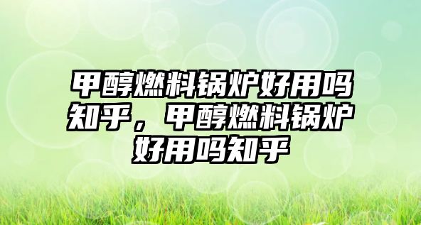 甲醇燃料鍋爐好用嗎知乎，甲醇燃料鍋爐好用嗎知乎