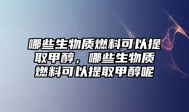 哪些生物質(zhì)燃料可以提取甲醇，哪些生物質(zhì)燃料可以提取甲醇呢