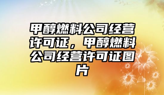 甲醇燃料公司經(jīng)營許可證，甲醇燃料公司經(jīng)營許可證圖片