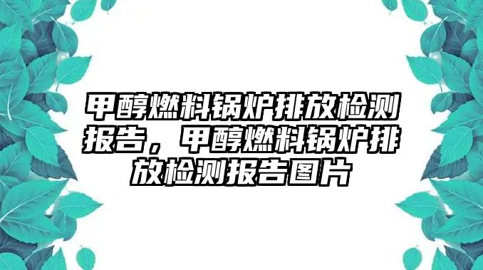 甲醇燃料鍋爐排放檢測報(bào)告，甲醇燃料鍋爐排放檢測報(bào)告圖片