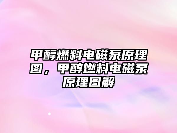 甲醇燃料電磁泵原理圖，甲醇燃料電磁泵原理圖解