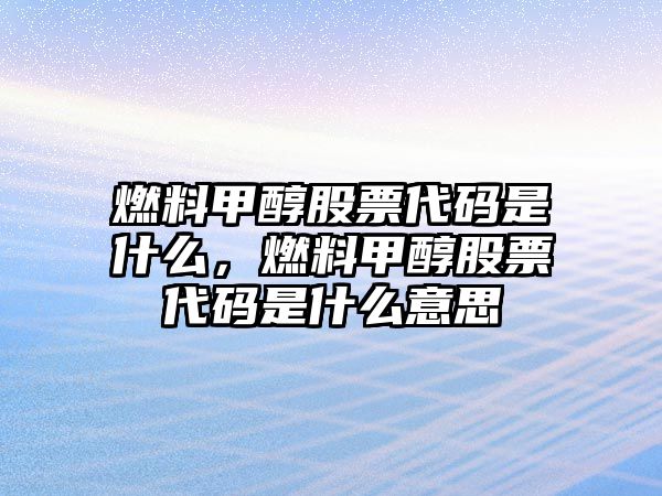 燃料甲醇股票代碼是什么，燃料甲醇股票代碼是什么意思