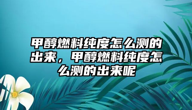 甲醇燃料純度怎么測的出來，甲醇燃料純度怎么測的出來呢