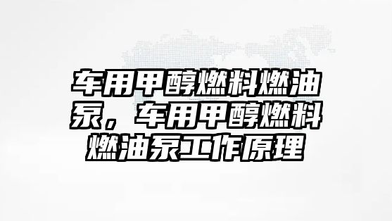 車用甲醇燃料燃油泵，車用甲醇燃料燃油泵工作原理