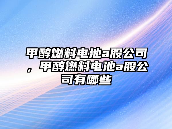 甲醇燃料電池a股公司，甲醇燃料電池a股公司有哪些