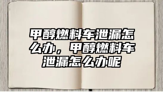 甲醇燃料車泄漏怎么辦，甲醇燃料車泄漏怎么辦呢