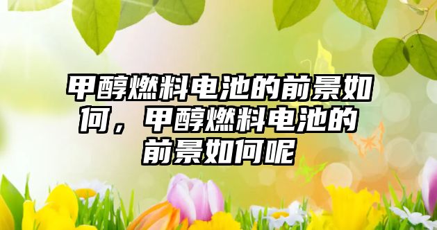 甲醇燃料電池的前景如何，甲醇燃料電池的前景如何呢