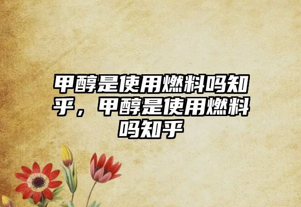 甲醇是使用燃料嗎知乎，甲醇是使用燃料嗎知乎