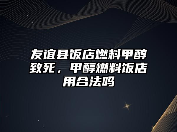 友誼縣飯店燃料甲醇致死，甲醇燃料飯店用合法嗎