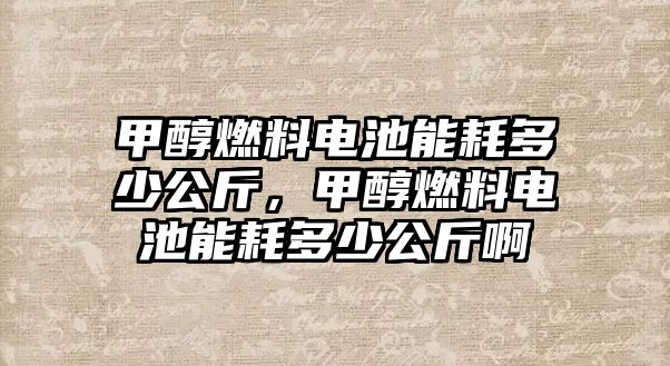 甲醇燃料電池能耗多少公斤，甲醇燃料電池能耗多少公斤啊