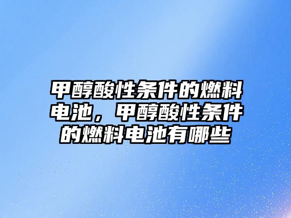 甲醇酸性條件的燃料電池，甲醇酸性條件的燃料電池有哪些