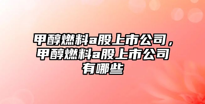 甲醇燃料a股上市公司，甲醇燃料a股上市公司有哪些