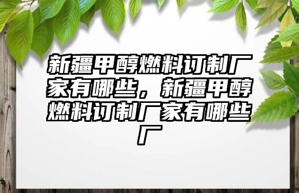 新疆甲醇燃料訂制廠家有哪些，新疆甲醇燃料訂制廠家有哪些廠