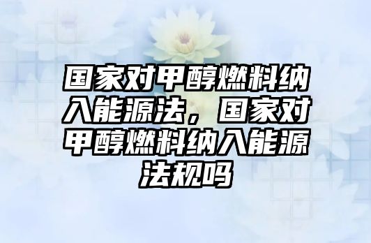 國家對甲醇燃料納入能源法，國家對甲醇燃料納入能源法規(guī)嗎