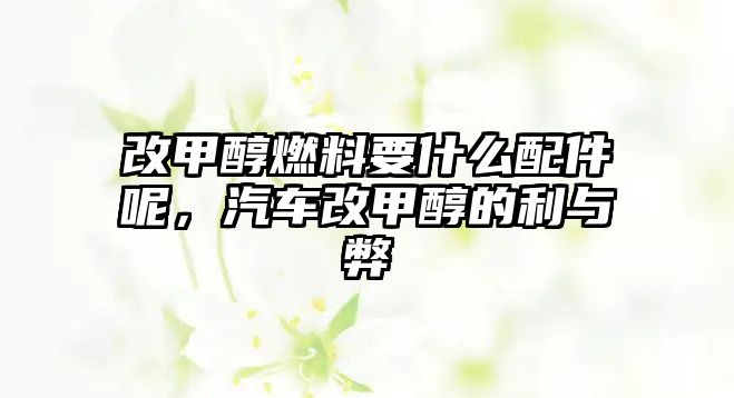 改甲醇燃料要什么配件呢，汽車改甲醇的利與弊