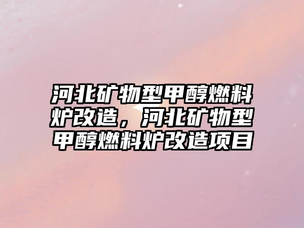 河北礦物型甲醇燃料爐改造，河北礦物型甲醇燃料爐改造項目