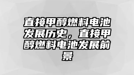 直接甲醇燃料電池發(fā)展歷史，直接甲醇燃料電池發(fā)展前景