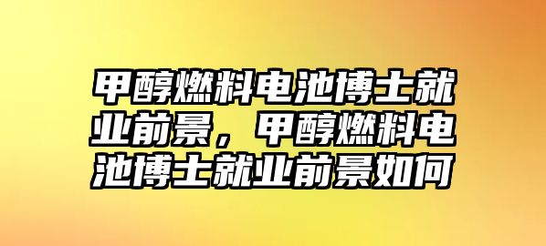 甲醇燃料電池博士就業(yè)前景，甲醇燃料電池博士就業(yè)前景如何