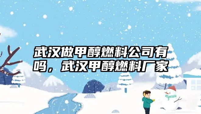 武漢做甲醇燃料公司有嗎，武漢甲醇燃料廠家