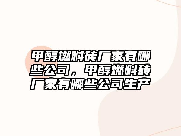 甲醇燃料磚廠家有哪些公司，甲醇燃料磚廠家有哪些公司生產(chǎn)