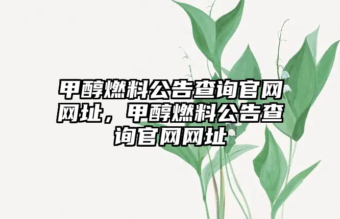 甲醇燃料公告查詢官網(wǎng)網(wǎng)址，甲醇燃料公告查詢官網(wǎng)網(wǎng)址