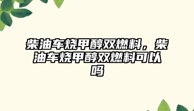 柴油車燒甲醇雙燃料，柴油車燒甲醇雙燃料可以嗎