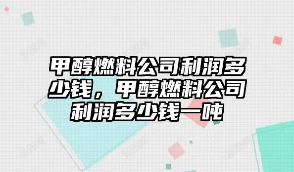 甲醇燃料公司利潤(rùn)多少錢(qián)，甲醇燃料公司利潤(rùn)多少錢(qián)一噸