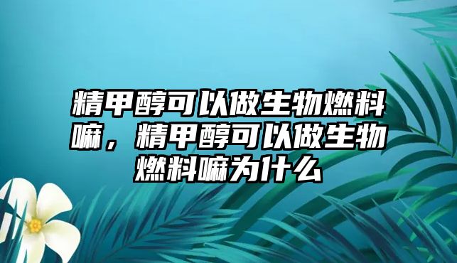 精甲醇可以做生物燃料嘛，精甲醇可以做生物燃料嘛為什么