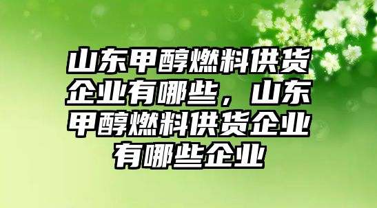 山東甲醇燃料供貨企業(yè)有哪些，山東甲醇燃料供貨企業(yè)有哪些企業(yè)