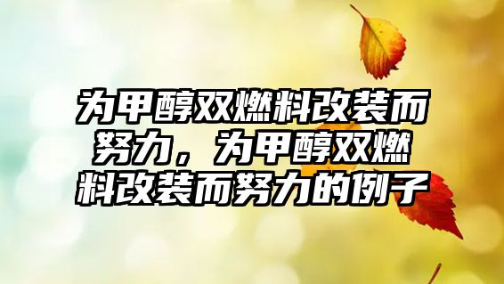 為甲醇雙燃料改裝而努力，為甲醇雙燃料改裝而努力的例子