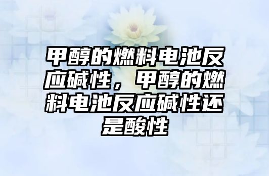 甲醇的燃料電池反應堿性，甲醇的燃料電池反應堿性還是酸性