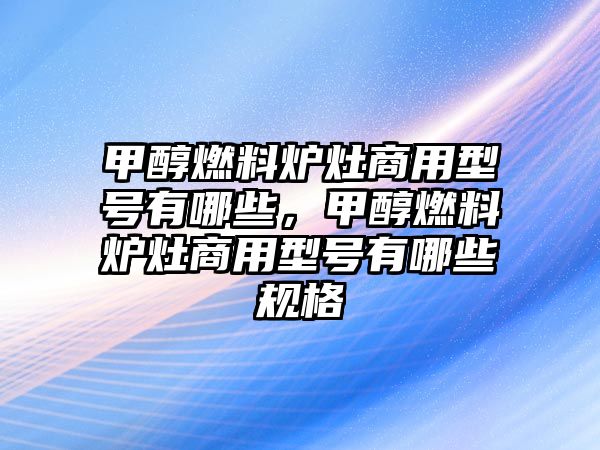 甲醇燃料爐灶商用型號有哪些，甲醇燃料爐灶商用型號有哪些規(guī)格