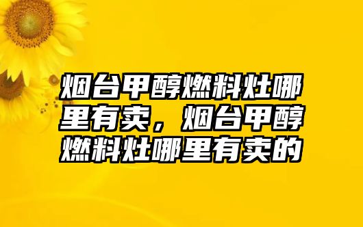 煙臺甲醇燃料灶哪里有賣，煙臺甲醇燃料灶哪里有賣的