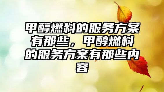 甲醇燃料的服務(wù)方案有那些，甲醇燃料的服務(wù)方案有那些內(nèi)容