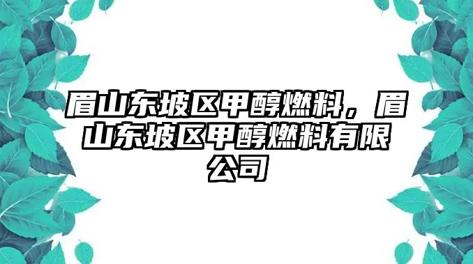 眉山東坡區(qū)甲醇燃料，眉山東坡區(qū)甲醇燃料有限公司