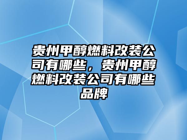 貴州甲醇燃料改裝公司有哪些，貴州甲醇燃料改裝公司有哪些品牌