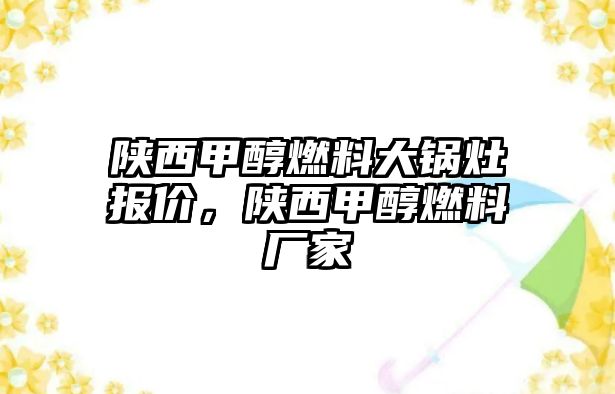 陜西甲醇燃料大鍋灶報(bào)價(jià)，陜西甲醇燃料廠家